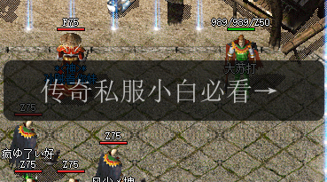 传奇私服小白必看的传奇私服宝藏。